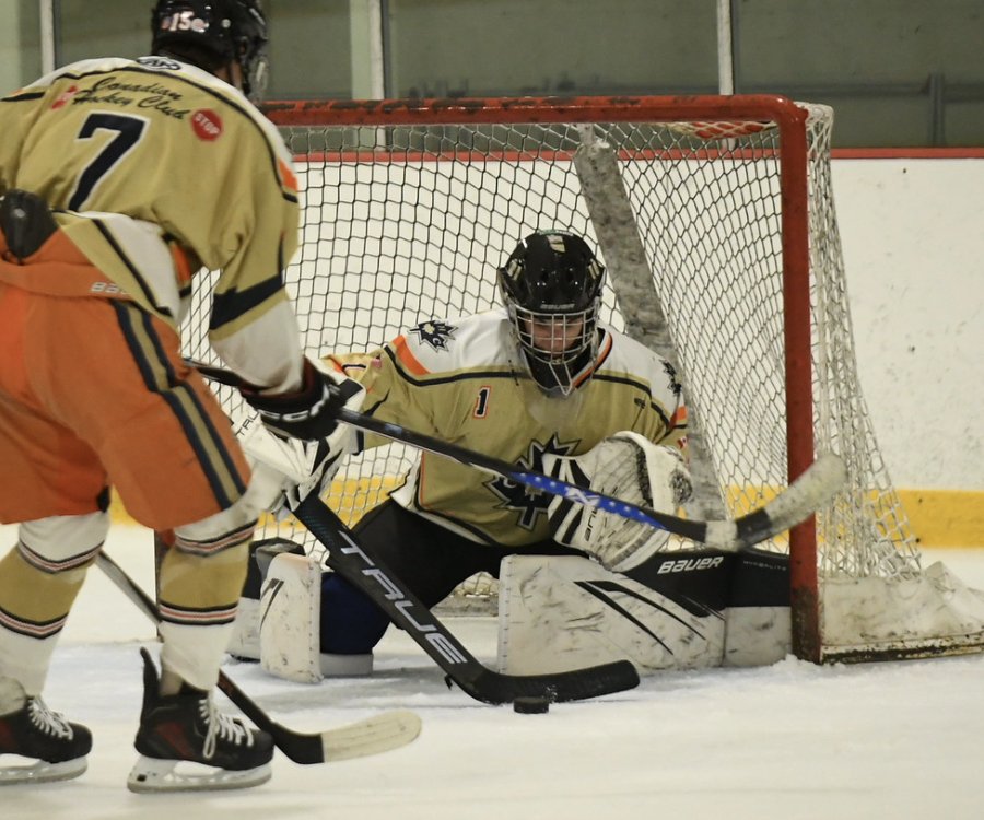 CHC Team Vegas (Tier 2) player in game action, 2026 season